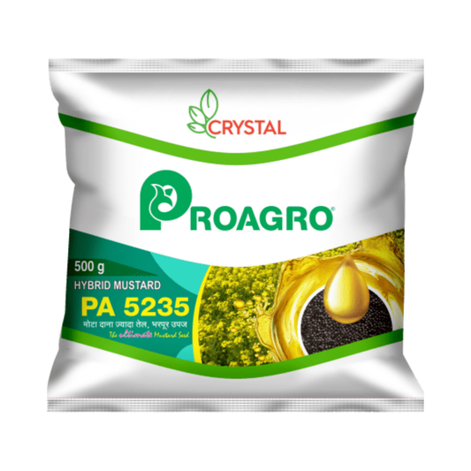 PA 5235 Mustard Seeds - Crystal | F1 Hybrid | Buy Online at Best Price