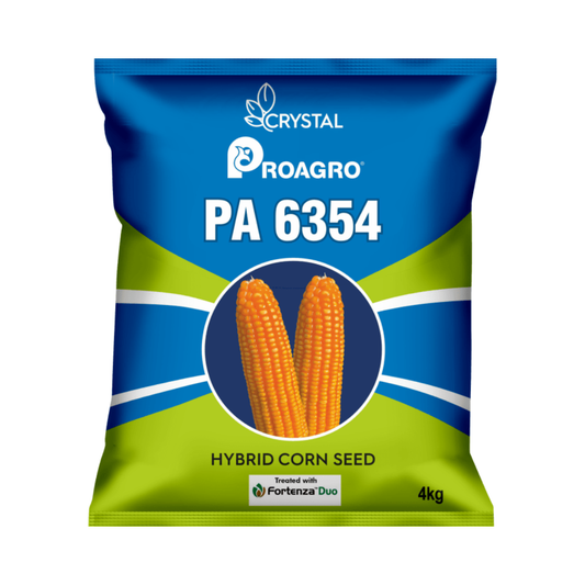 PA 6354 Maize Seeds - Crystal | F1 Hybrid | Buy Online at Best Price