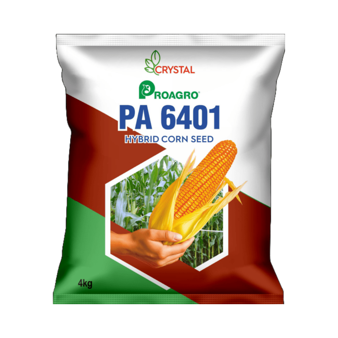 PA 6401 Maize Seeds - Crystal | F1 Hybrid | Buy Online at Best Price
