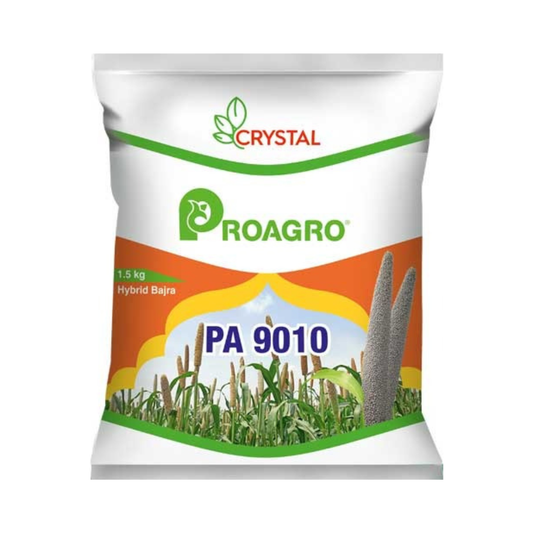 PA 9010 Bajra Seeds - Crystal | F1 Hybrid | Buy Online at Best Price