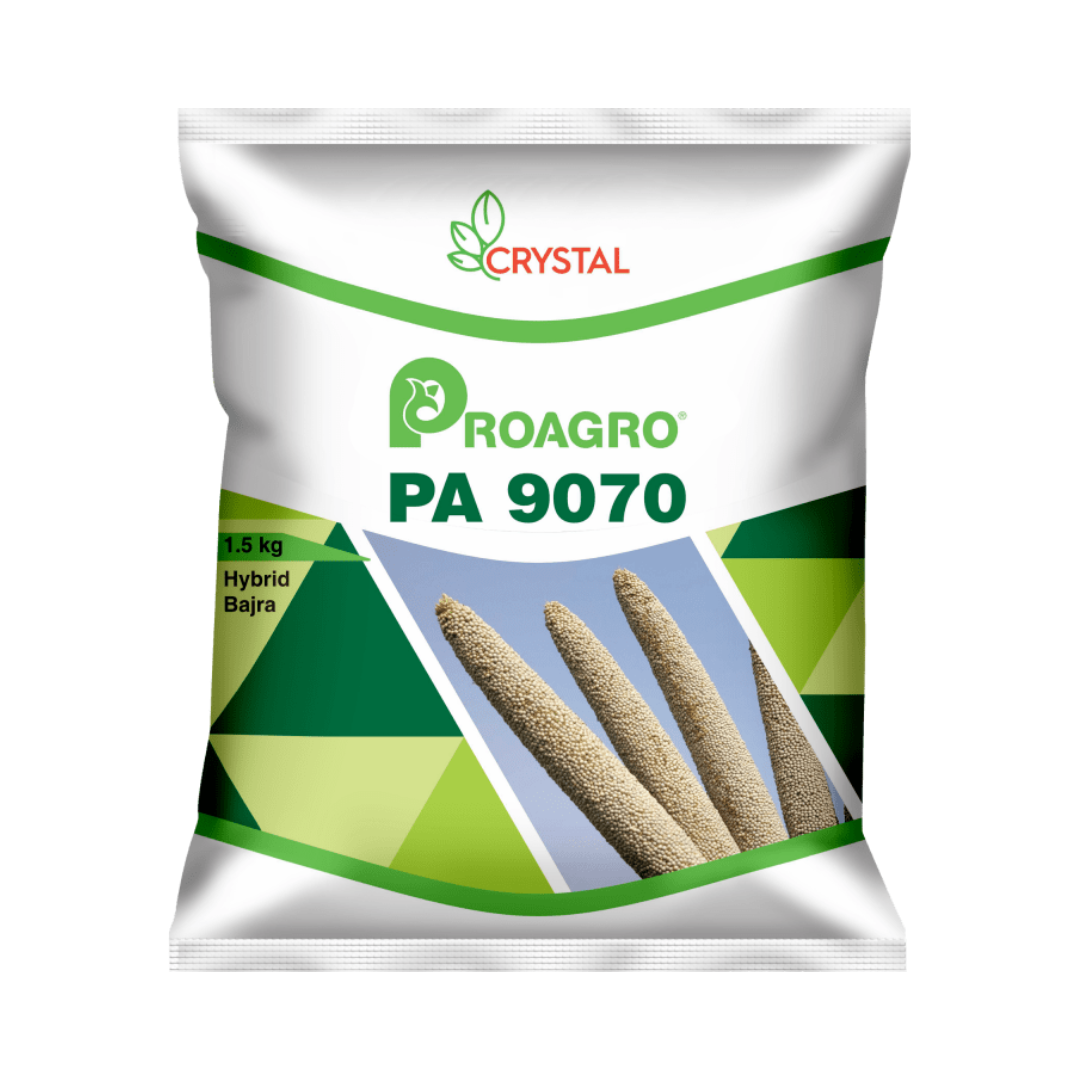 PA 9070 Bajra Seeds - Crystal | F1 Hybrid | Buy Online at Best Price