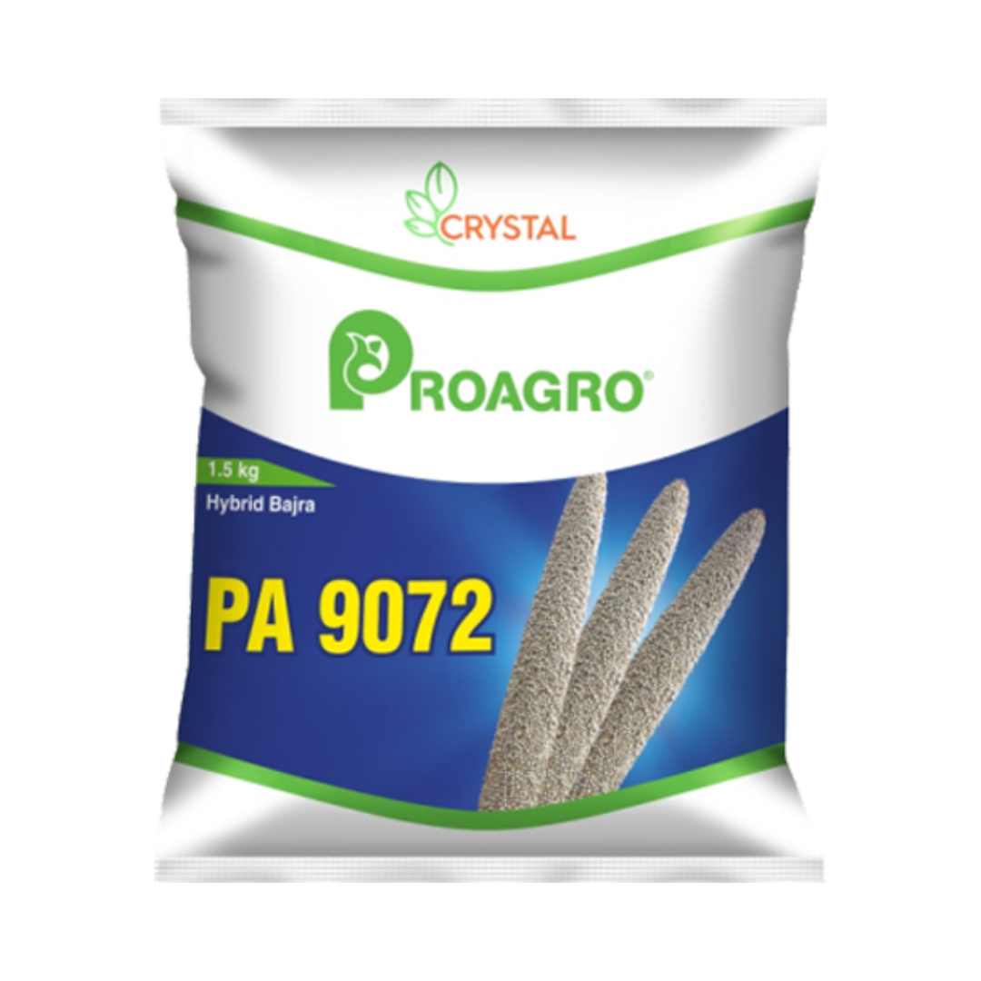 PA 9072 Bajra Seeds - Crystal | F1 Hybrid | Buy Online at Best Price
