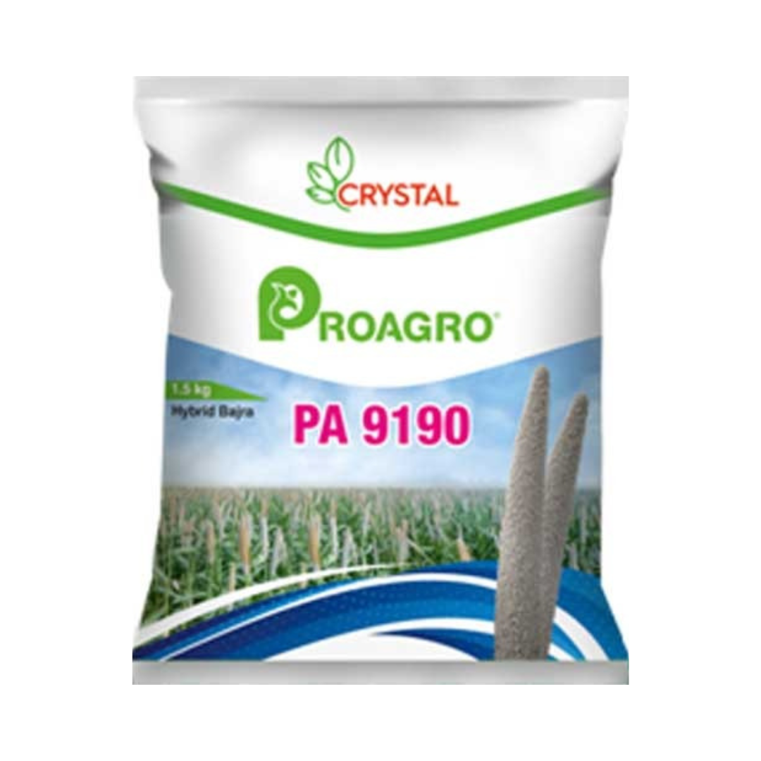 PA 9190 Bajra Seeds