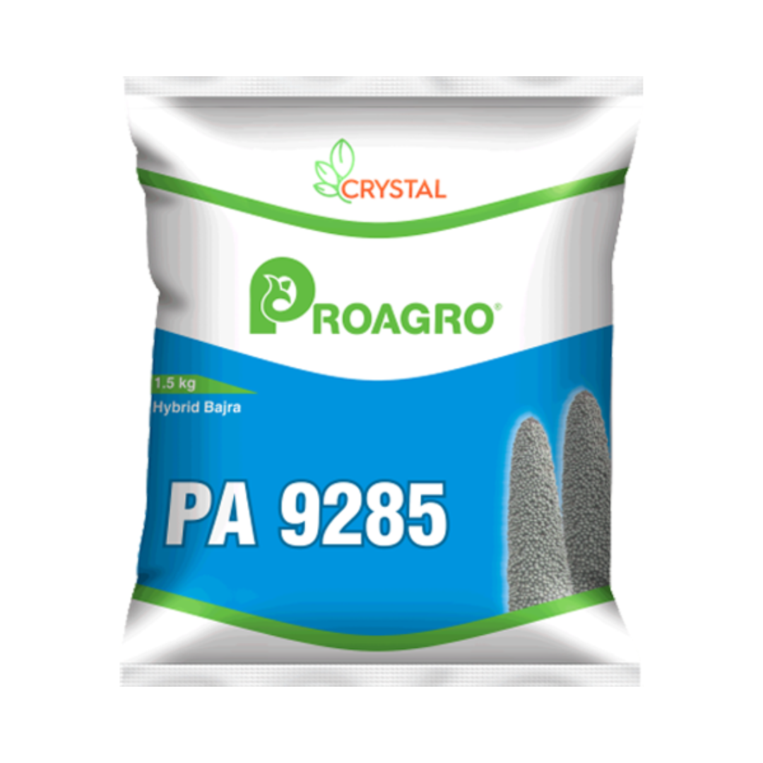PA 9285 Bajra Seeds - Crystal | F1 Hybrid | Buy Online at Best Price
