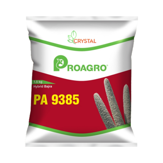 PA 9385 Bajra Seeds - Crystal | F1 Hybrid | Buy Online at Best Price