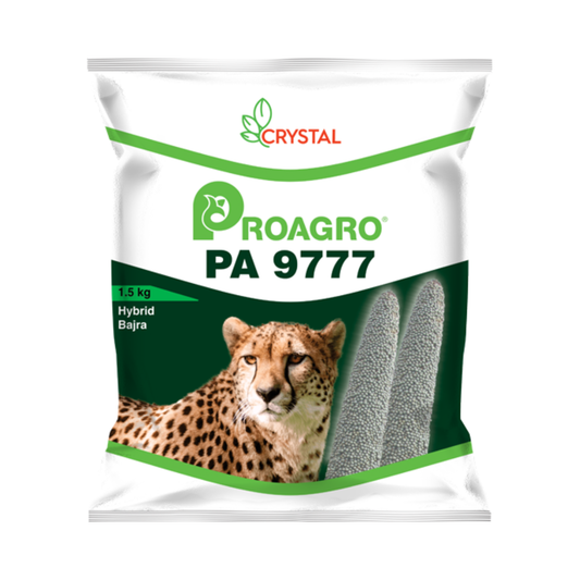 PA 9777 Bajra Seeds - Crystal | F1 Hybrid | Buy Online at Best Price