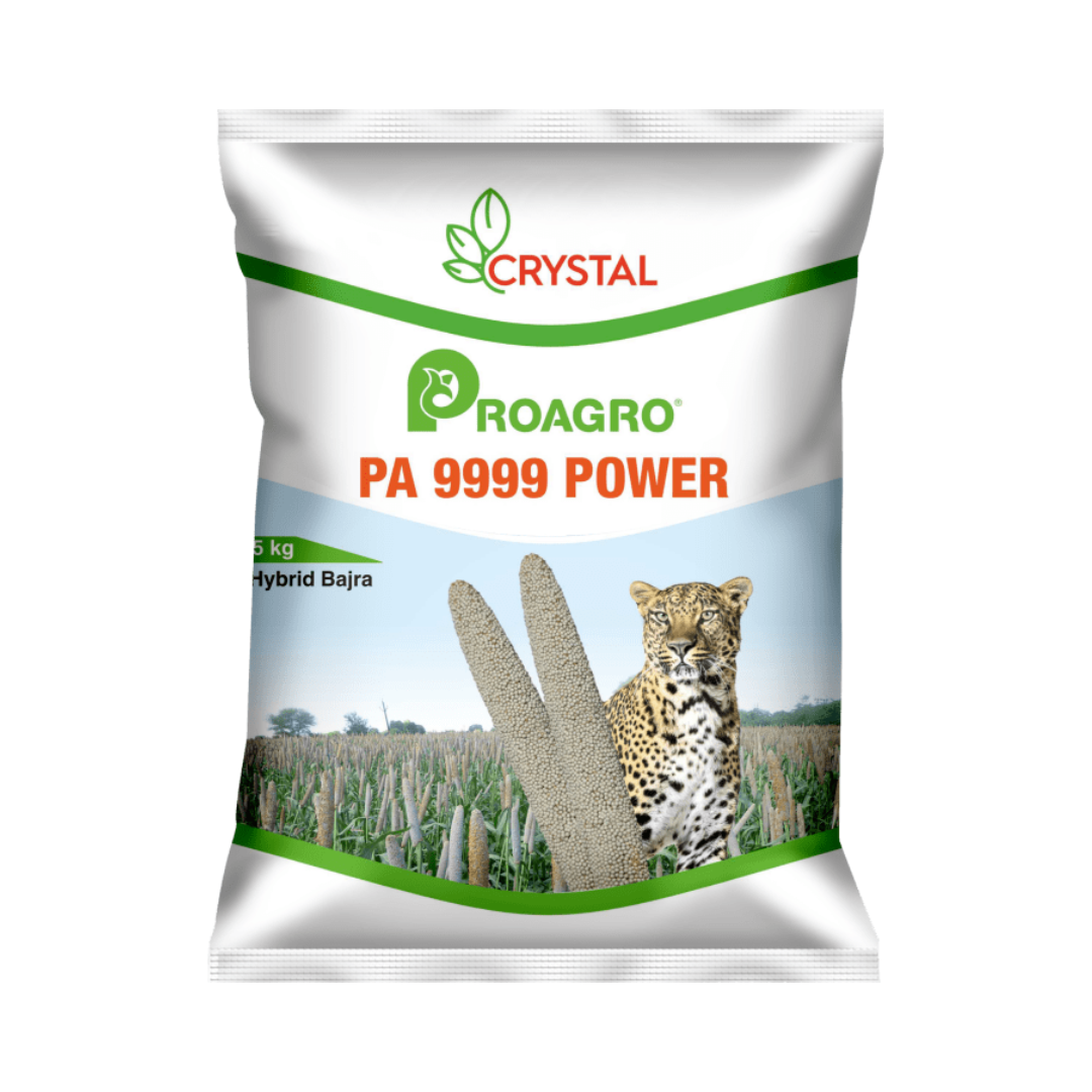 PA 9999 Power Bajra Seeds - Crystal | F1 Hybrid | Buy Online at Best Price