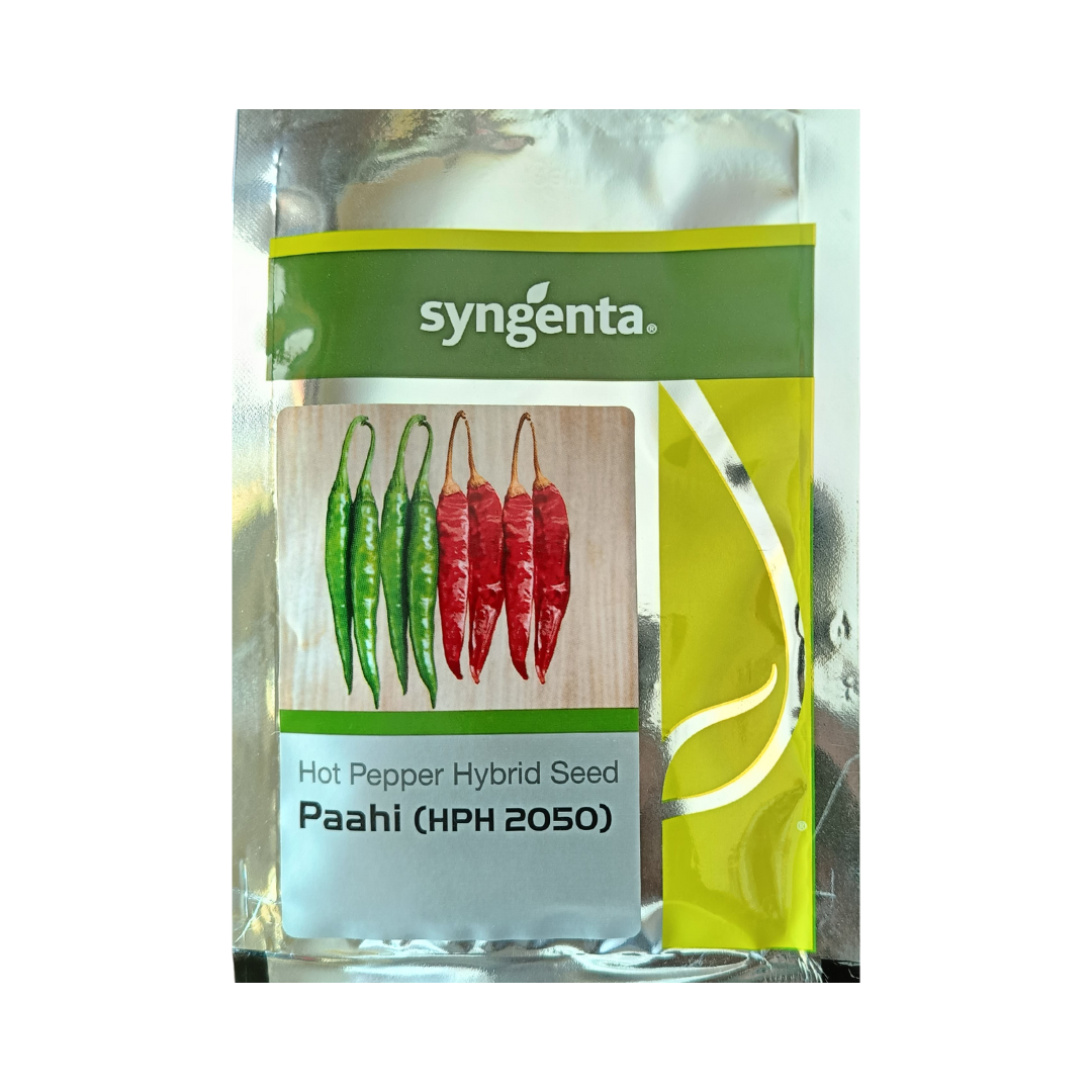 Paahi (HPH 2050) Chilli Seeds - Syngenta | F1 Hybrid | Buy Online Now