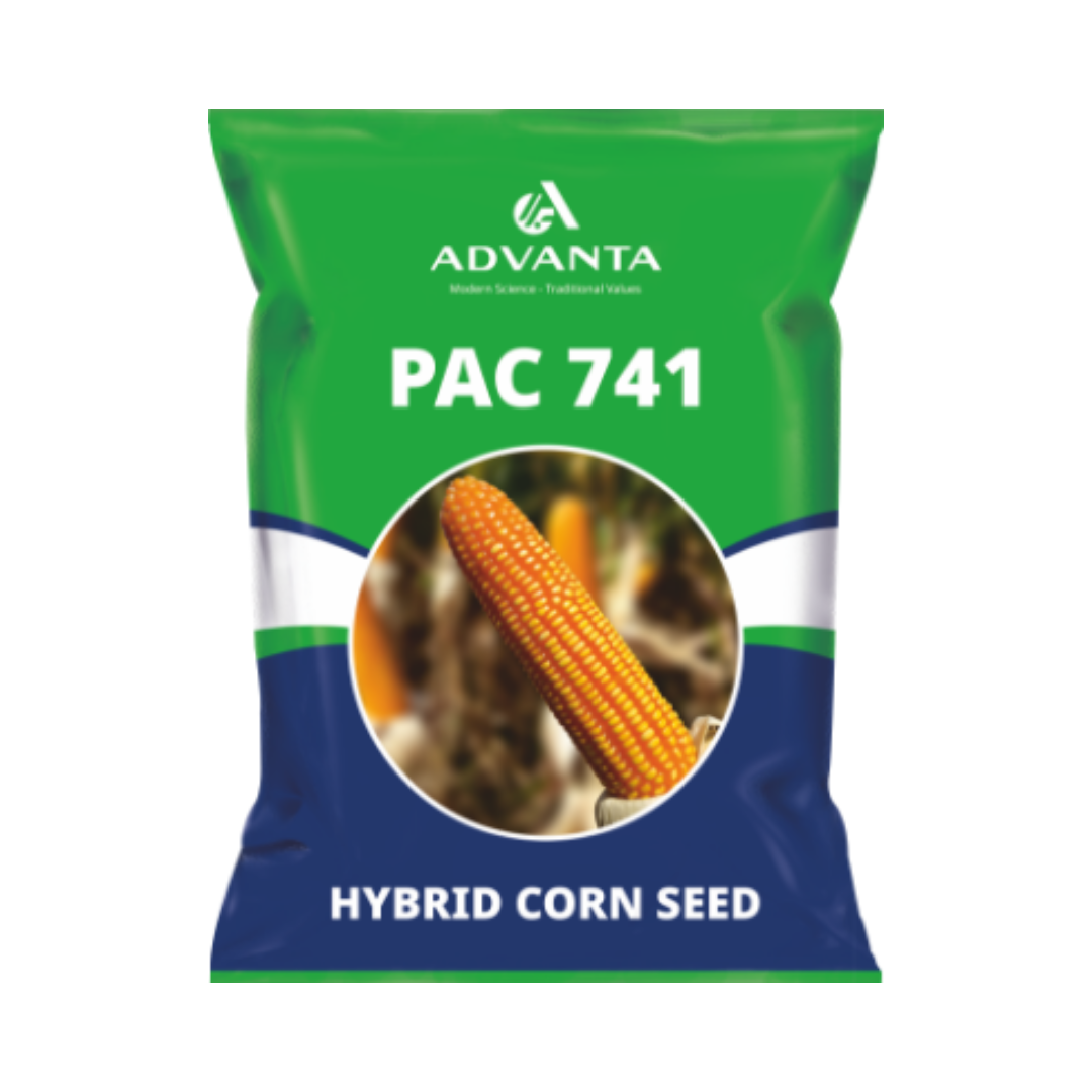 Pac 741 Corn Seeds - Advanta | F1 Hybrid | Buy Online at Best Price