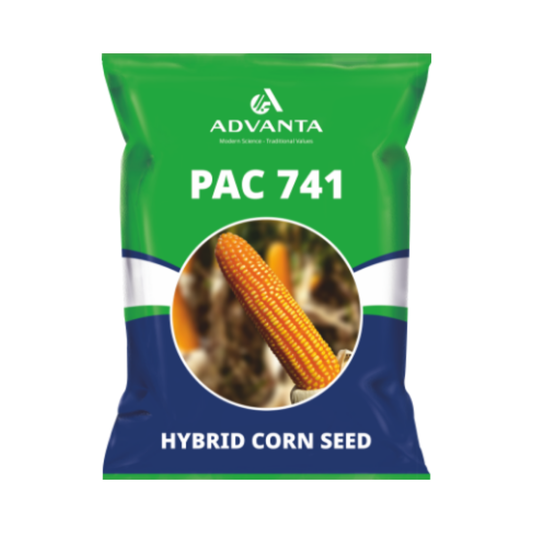Pac 741 Corn Seeds - Advanta | F1 Hybrid | Buy Online at Best Price