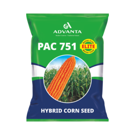 Pac 751 Elite Corn Seeds - Advanta | F1 Hybrid | Buy Online at Best Price
