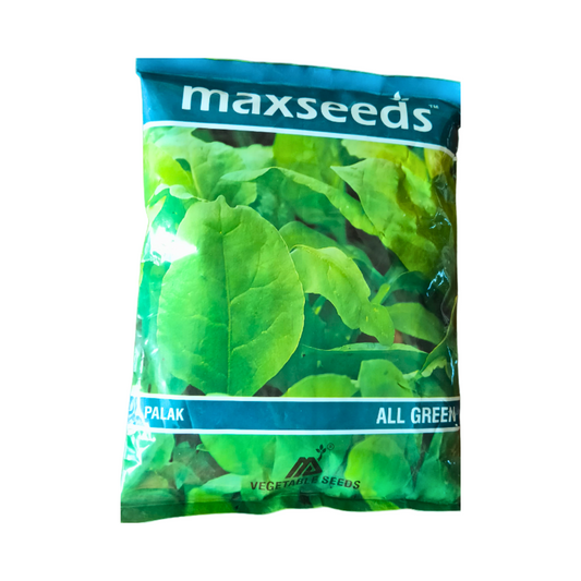Max All Green Palak Seeds | F1 Hybrid | Buy Online at Best Price