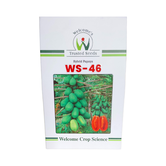 WS - 46 Papaya Seeds - Welcome | F1 Hybrid | Buy Online at Best Price