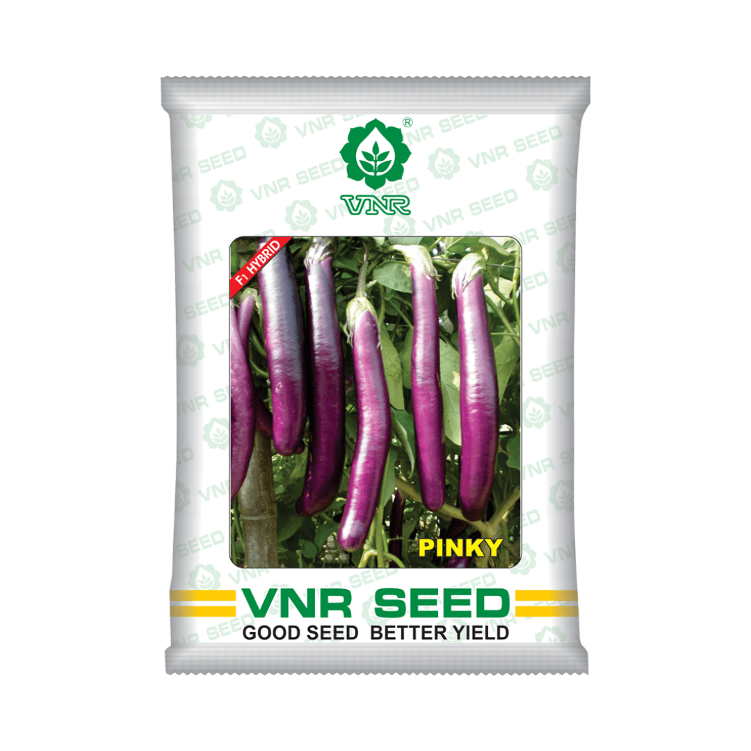Pinky Brinjal Seeds - VNR | F1 Hybrid | Buy Online at Best Price Now