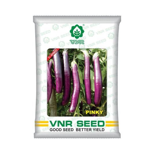 Pinky Brinjal Seeds - VNR | F1 Hybrid | Buy Online at Best Price Now