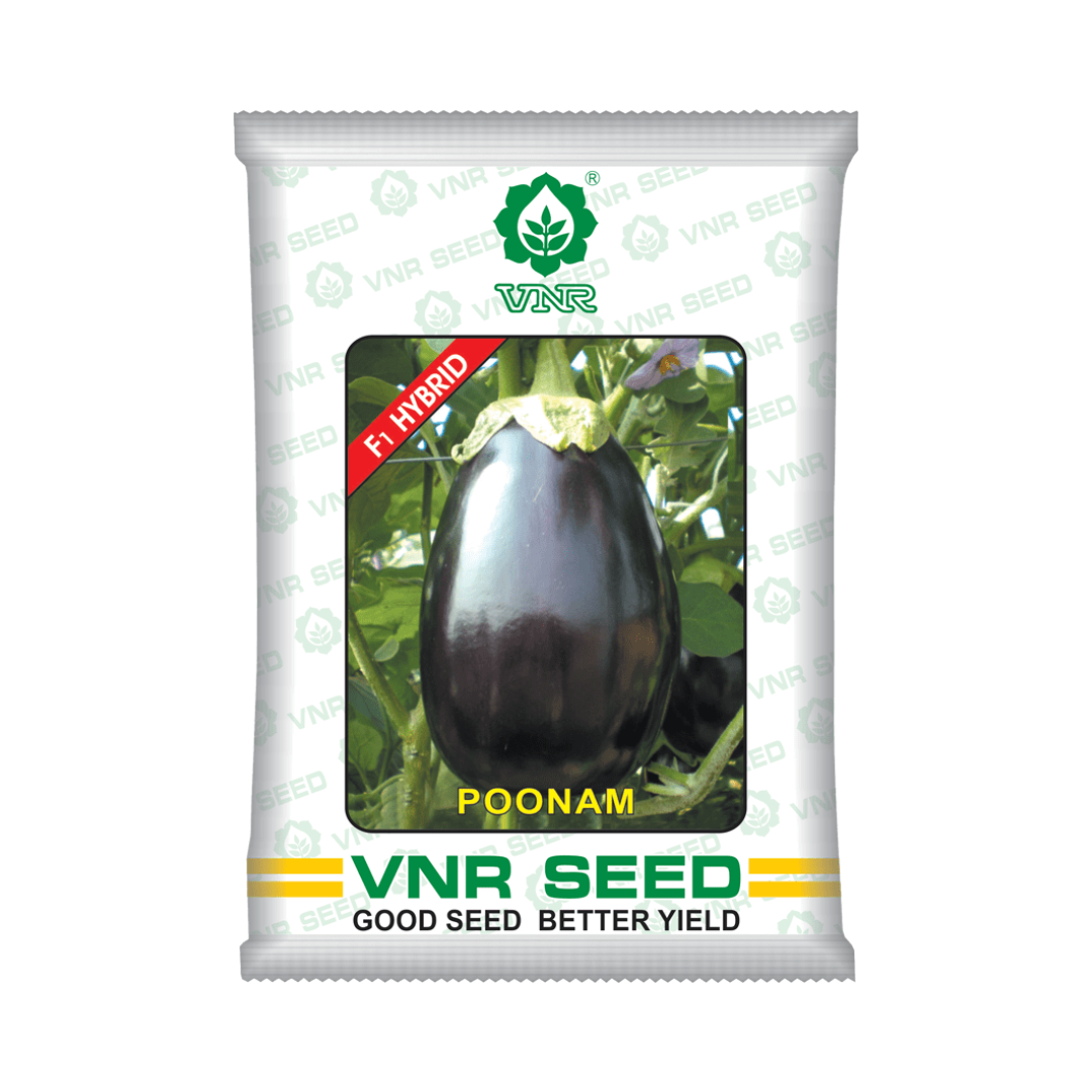 Poonam Brinjal Seeds - VNR | F1 Hybrid | Buy Online at Best Price Now