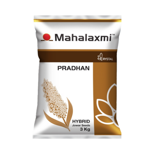 Pradhan Jowar Seeds - Crystal | Buy Online at Best Price - DesiKheti