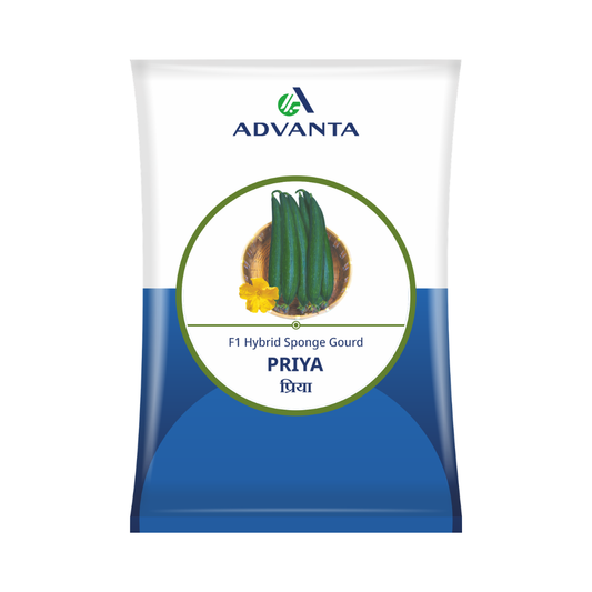 Priya Sponge Gourd Seeds - Advanta | F1 Hybrid | Buy Online at Best Price