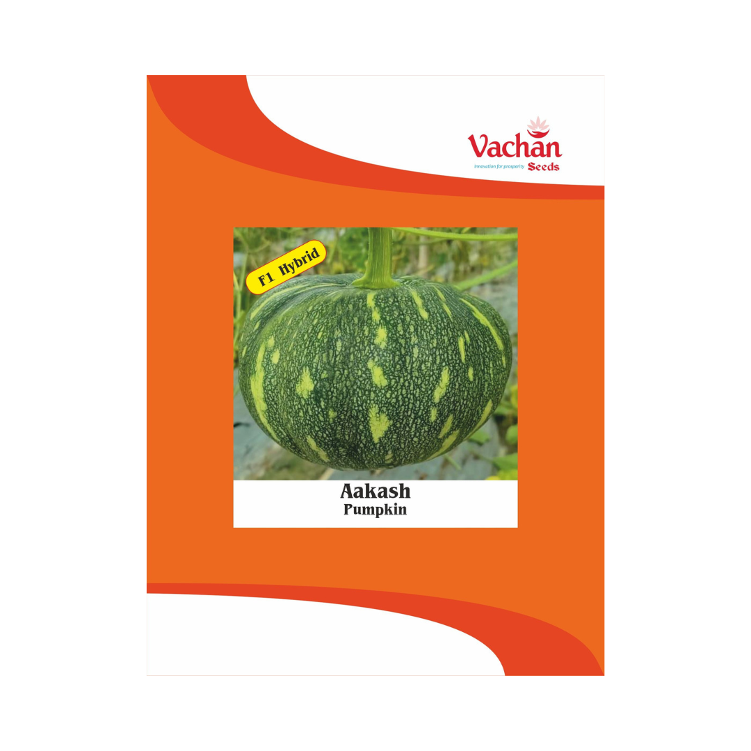 Aakash Pumpkin Seeds - Vachan | F1 Hybrid | Buy Online Now - DesiKheti