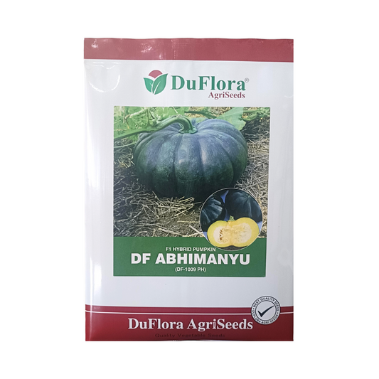 DF Abhimanyu Pumpkin Seeds - DuFlora | F1 Hybrid | Buy Online Now