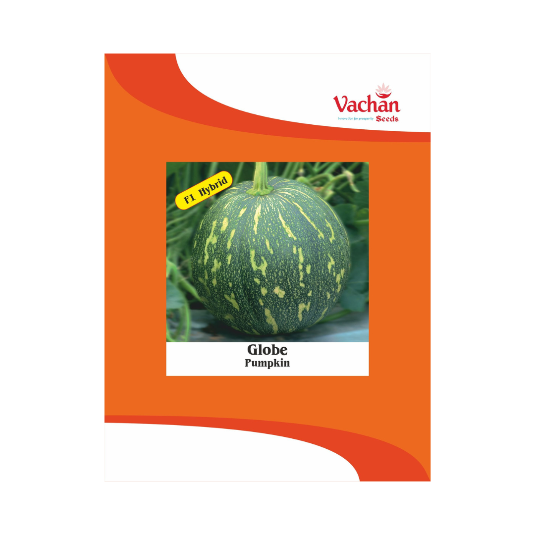Globe Pumpkin Seeds - Vachan | F1 Hybrid | Buy Online Now - DesiKheti