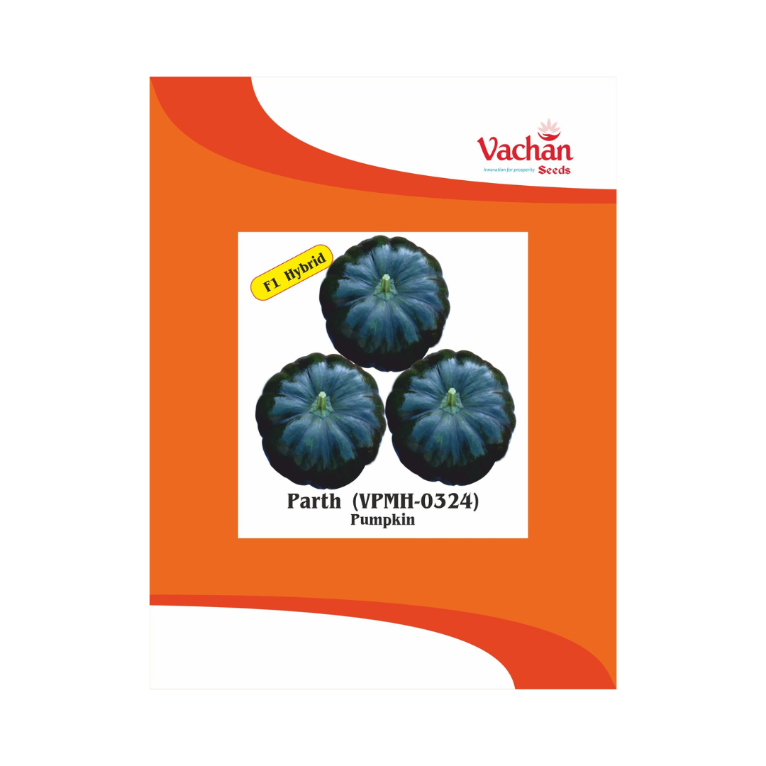 Parth (VPMH-0324) Pumpkin Seeds - Vachan | F1 Hybrid | Buy Online Now - DesiKheti