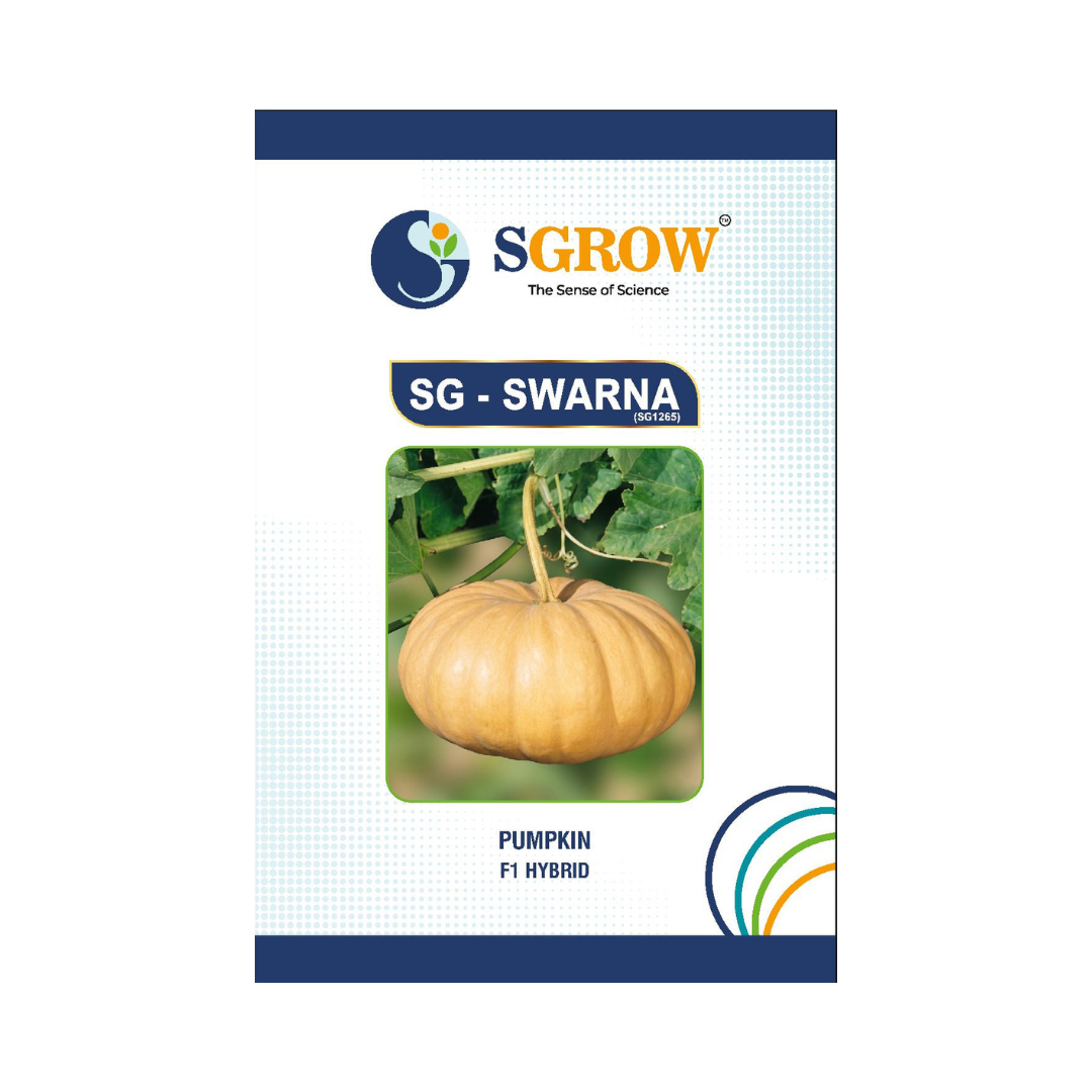 SG-Swarna Pumpkin Seeds - SGrow | F1 Hybrid | Buy Online at Best Price