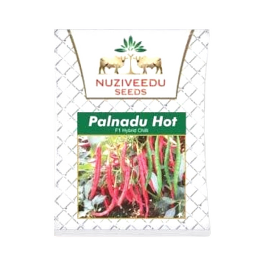 Palnadu Hot Chilli Seeds - Nuziveedu | F1 Hybrid | Buy Online at Best Price