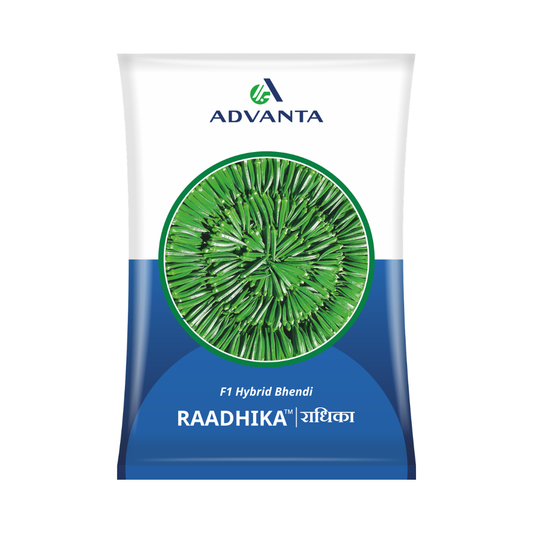 Raadhika Bhindi Seeds - Advanta | F1 Hybrid | Buy Online at Best Price