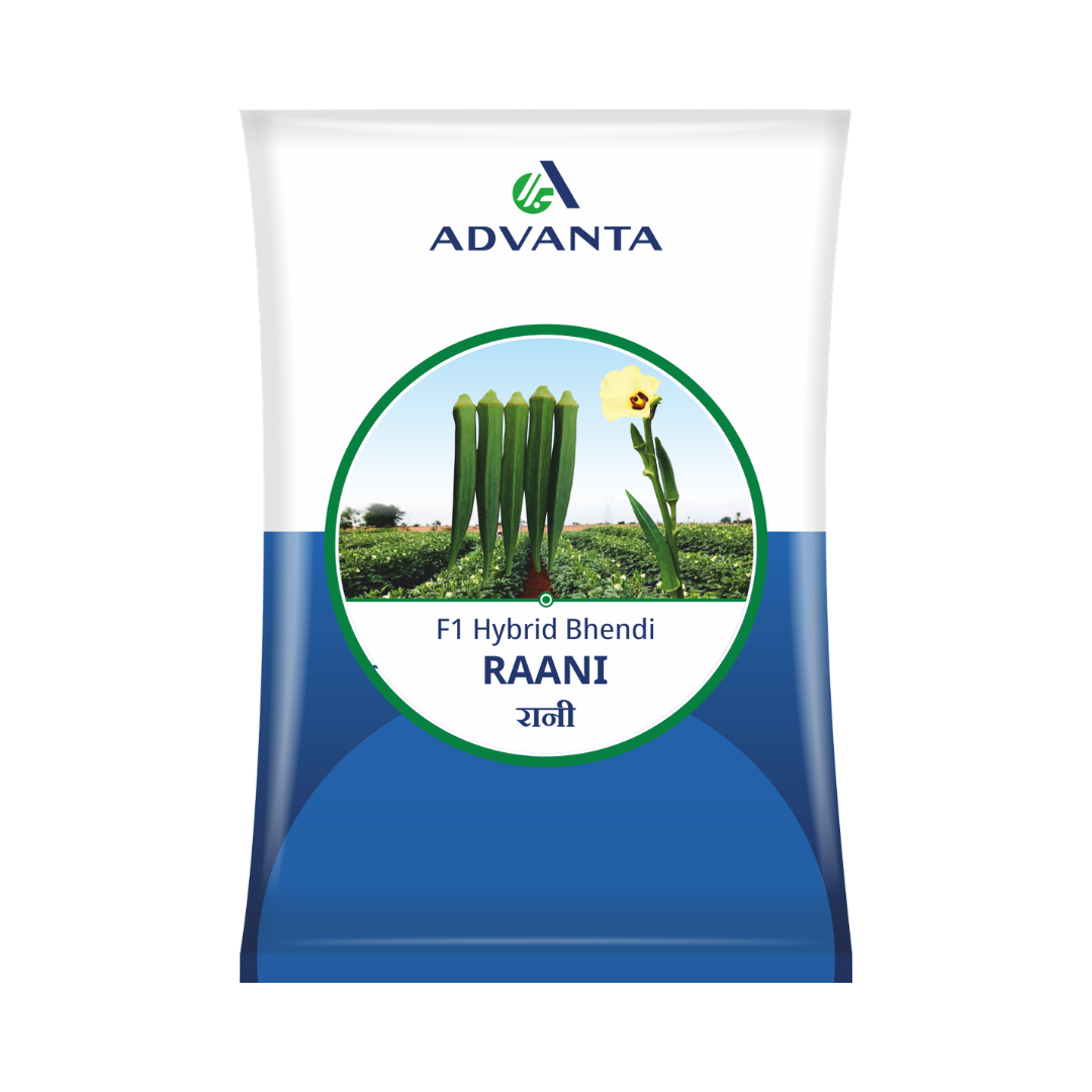 Raani Bhendi Seeds - Advanta | F1 Hybrid | Buy Online at Best Price