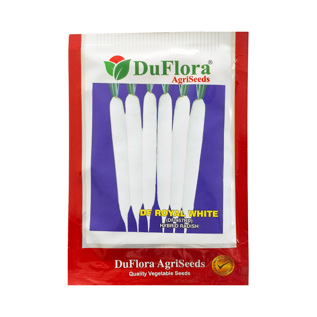 DF Royal White Radish Seeds - DuFlora | F1 Hybrid | Buy Online Now