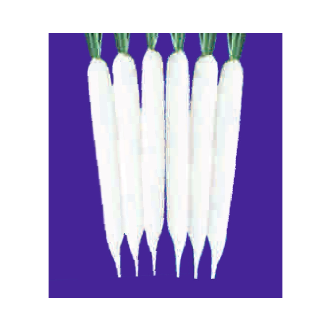 DF Royal White Radish Seeds - DuFlora | F1 Hybrid | Buy Online Now