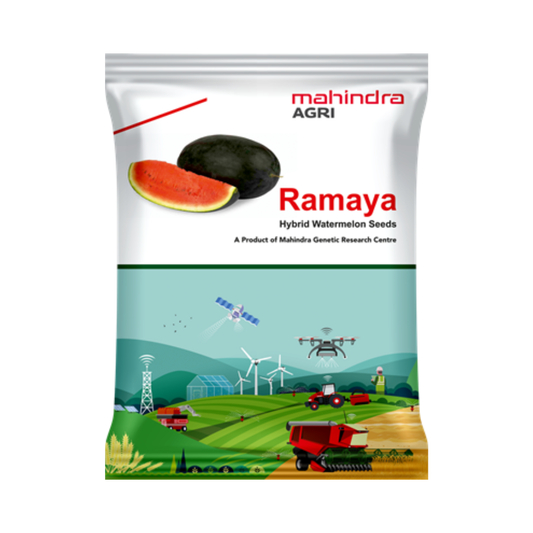 Ramaya Watermelon Seeds - Mahindra Agri | F1 Hybrid | Buy Online Now