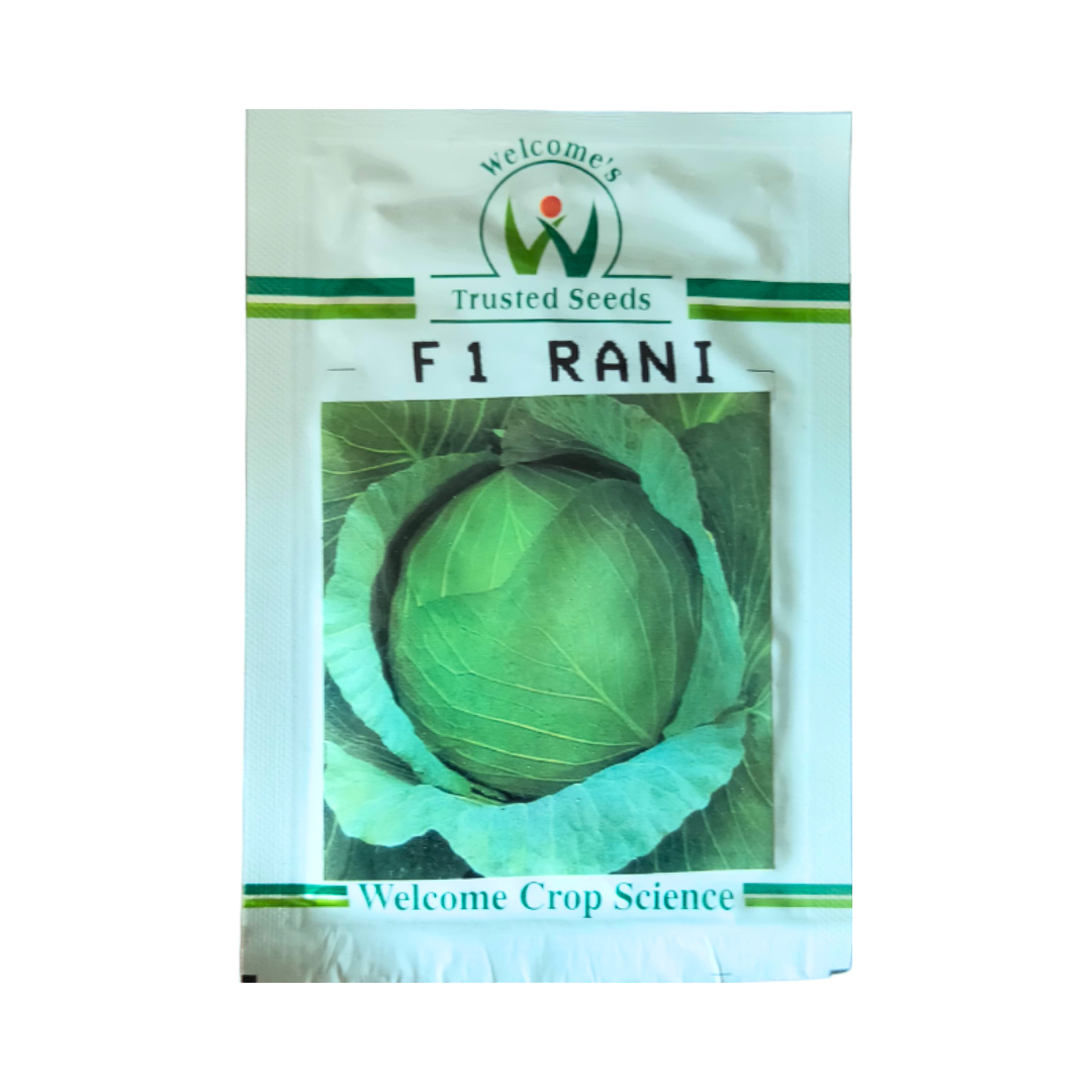 Rani Cabbage Seeds - Welcome | F1 Hybrid | Buy Online at Best Price