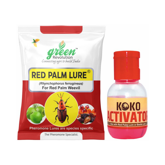 Red Palm Lure for Red palm weevil - Green Revolution | Buy Online Now