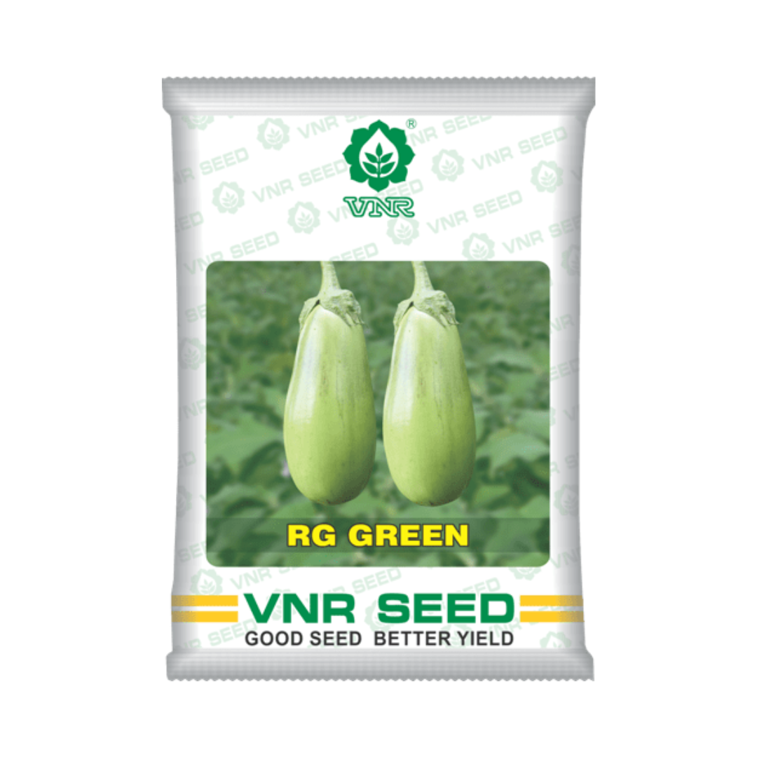 RG Green Brinjal Seeds - VNR | F1 Hybrid | Buy Online at Best Price Now