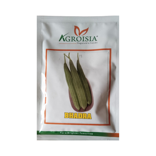 Bhadra Ridge Gourd Seeds - Agroisia | F1 Hybrid | Buy Online Now