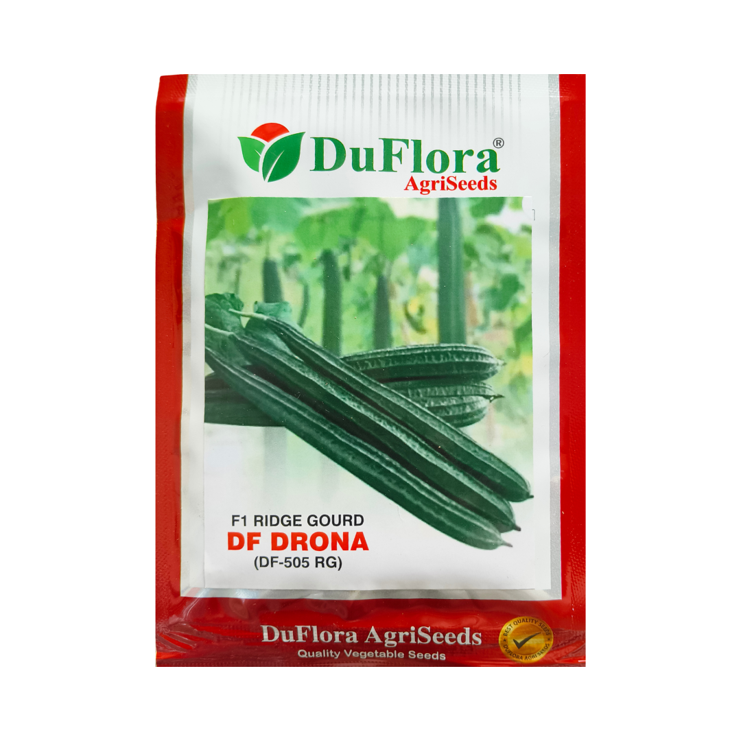 DF Drona Ridge Gourd Seeds - DuFlora | F1 Hybrid | Buy Online Now