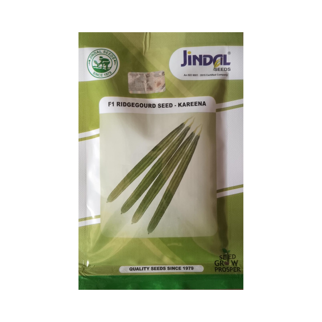Kareena Ridge Gourd Seeds - Jindal | F1 Hybrid | Buy Online at Best Price