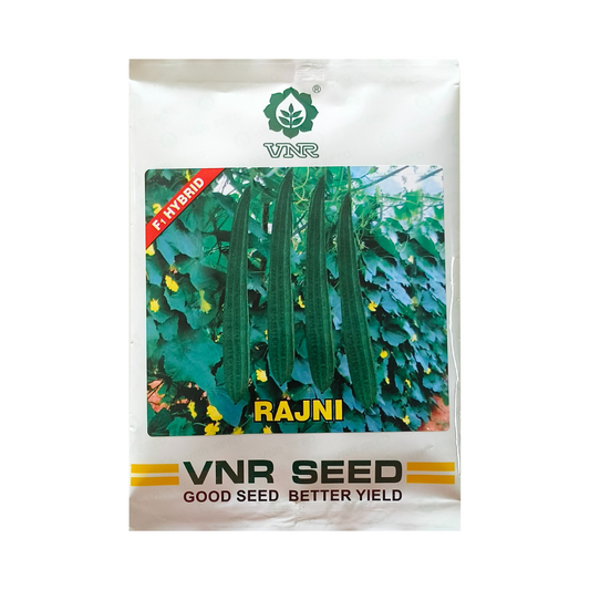 Rajni Ridge Gourd Seeds - VNR | F1 Hybrid | Buy Online at Best Price