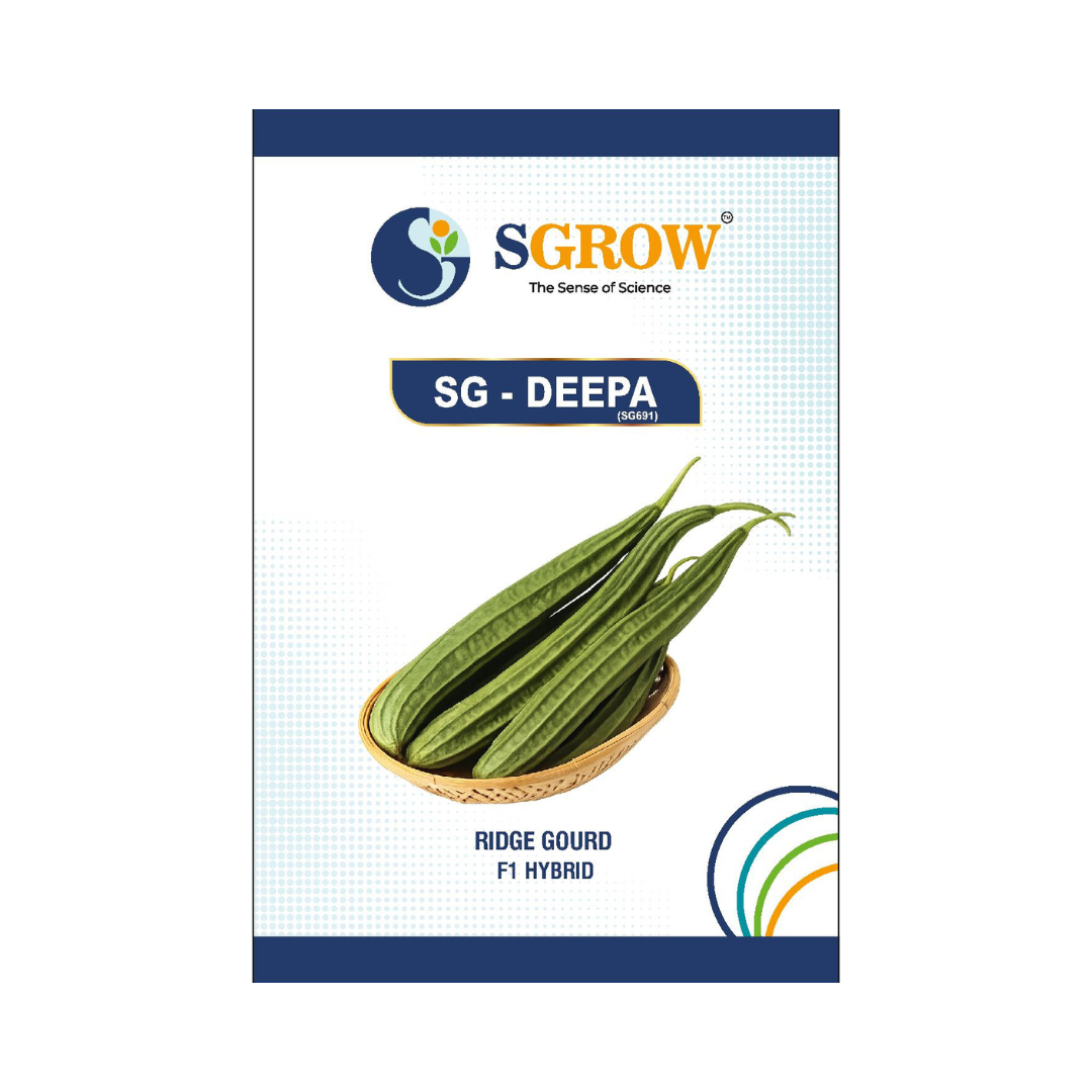 SG-Deepa Ridge Gourd Seeds - SGrow | F1 Hybrid | Buy Online at Best Price