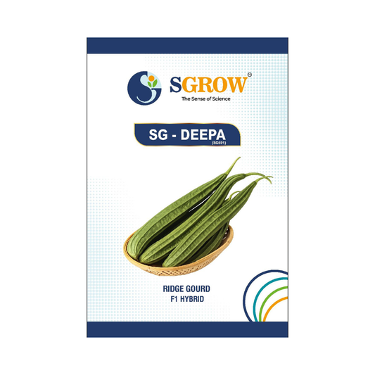 SG-Deepa Ridge Gourd Seeds - SGrow | F1 Hybrid | Buy Online at Best Price