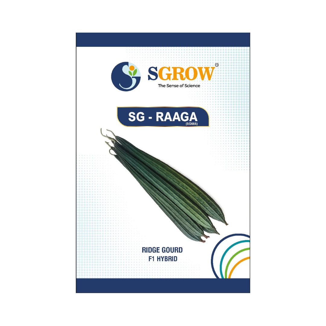 SG-Raaga Ridge Gourd Seeds