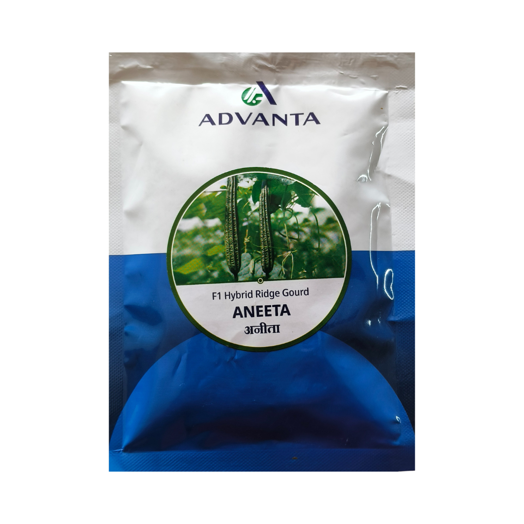 Aneeta Ridge Gourd Seeds - Advanta | F1 Hybrid | Buy Online at Best Price