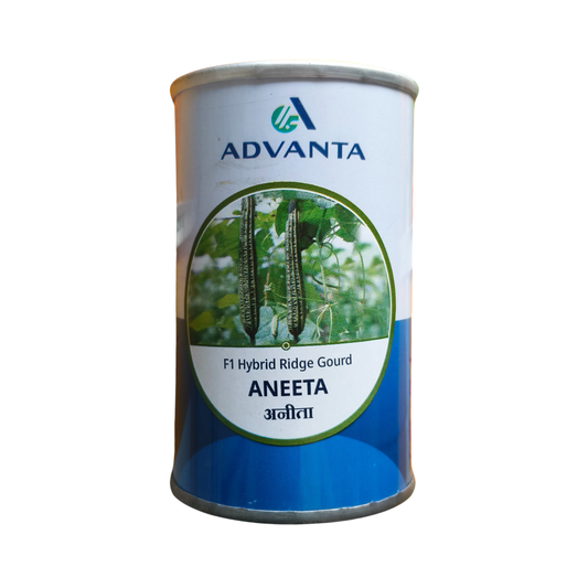 Aneeta Ridge Gourd Seeds - Advanta | F1 Hybrid | Buy Online at Best Price