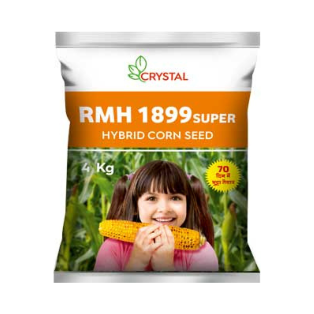 RMH 1899 Super Maize Seeds - Crystal | F1 Hybrid | Buy Online at Best Price