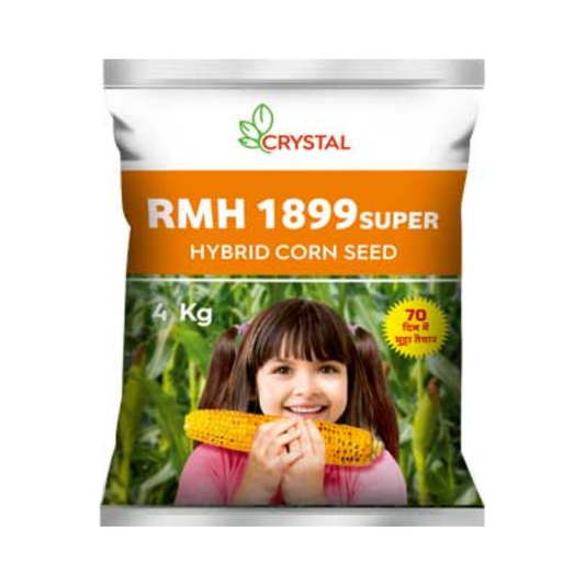 RMH 1899 Super Maize Seeds - Crystal | F1 Hybrid | Buy Online at Best Price