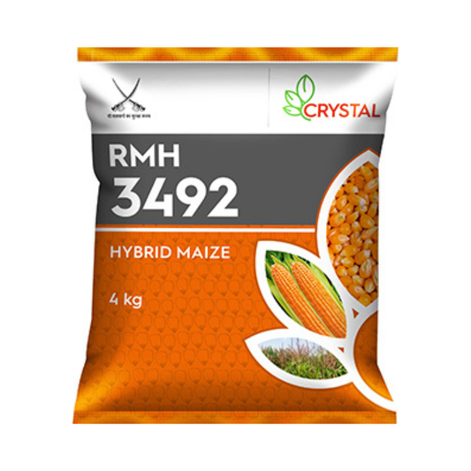 RMH 3492 Maize Seeds