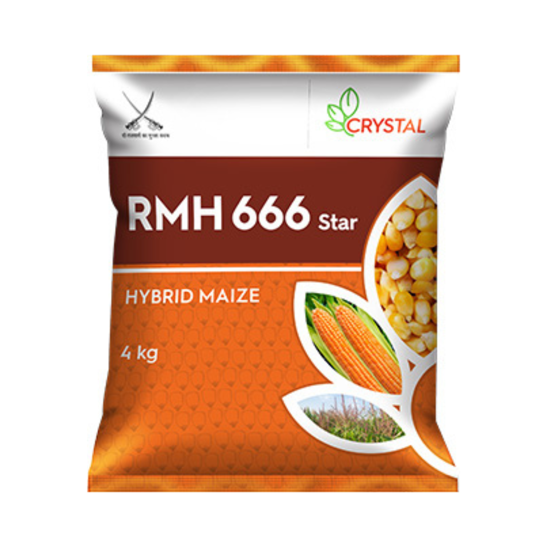 RMH 666 Star Maize Seeds - Crystal | F1 Hybrid | Buy Online at Best Price