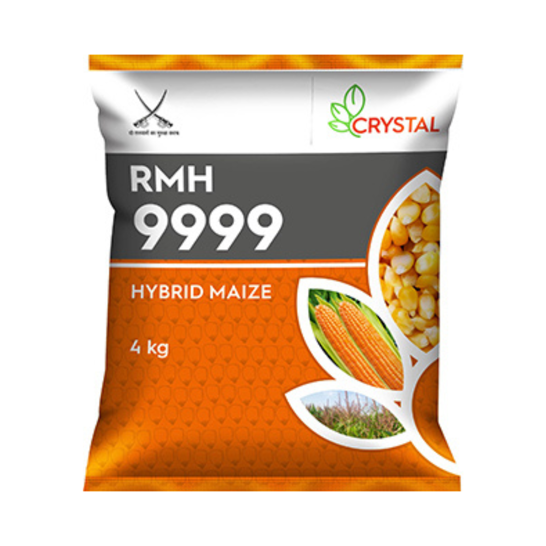 RMH 9999 Maize Seeds